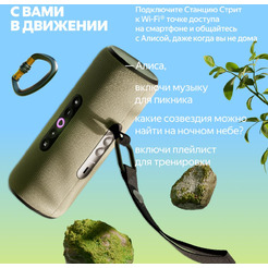 Портативная Умная колонка Яндекс.Станция Стрит YNDX-00030GRN (зеленый)