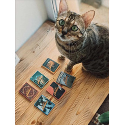 Настольная игра New Making Studio Внутри Лапенко 141319-8