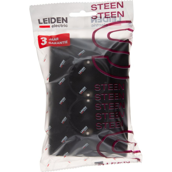 Розетка Leiden Electric Steen 806071
