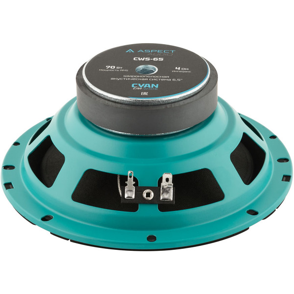Автоакустика Aspect CWS-65