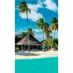 Инфракрасный обогреватель ОАО "БРТЗ" Дыхание тепла Мальдивы 20с460