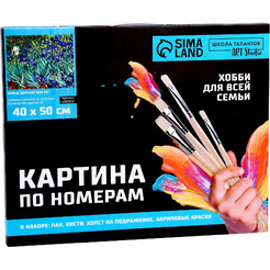 Картина по номерам Школа талантов Ирисы 5135002