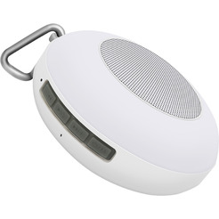 Беспроводная колонка Evolution X1