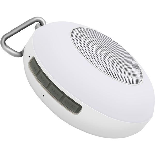 Беспроводная колонка Evolution X1