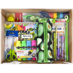 Набор канцелярии подарочный BRAUBERG AVOCADO 880951 (43 предмета)