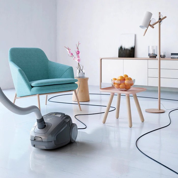 Пылесос ELECTROLUX EUS89TM