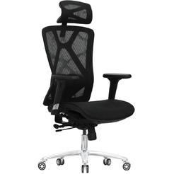 Кресло компьютерное EVOLUTION EXO F1 Mesh Black