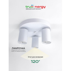 Светильник под лампу TRUENERGY MODERN 21491