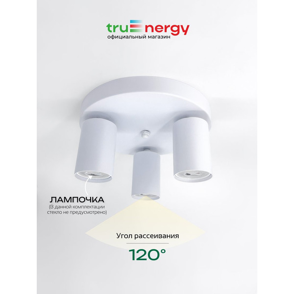 Светильник под лампу TRUENERGY MODERN 21491