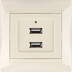 Розетка TDM Лайма SQ1815-0141