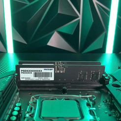 Оперативная память Patriot Signature Line 32ГБ DDR5 5600 МГц PSD532G56002