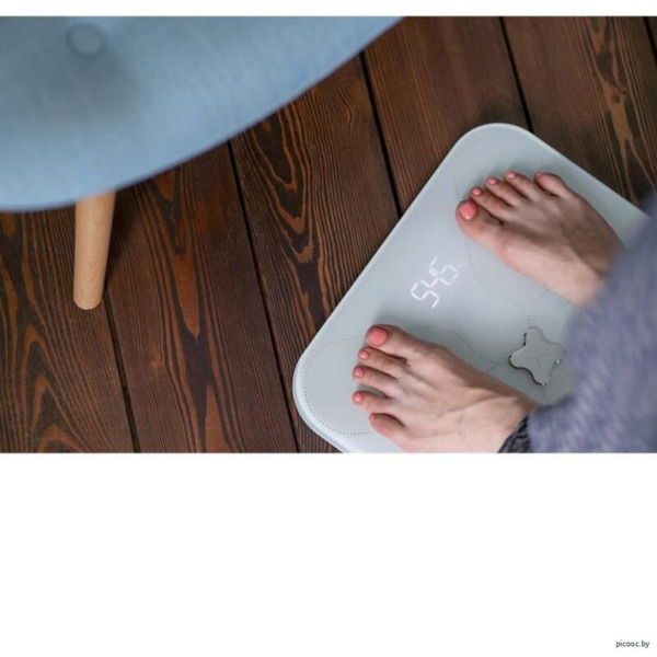 Напольные весы Picooc S3 V2