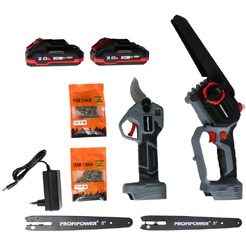 Набор электроинструмента Profipower ProfiSet-2G20 E0217 (цепная пила, секатор)