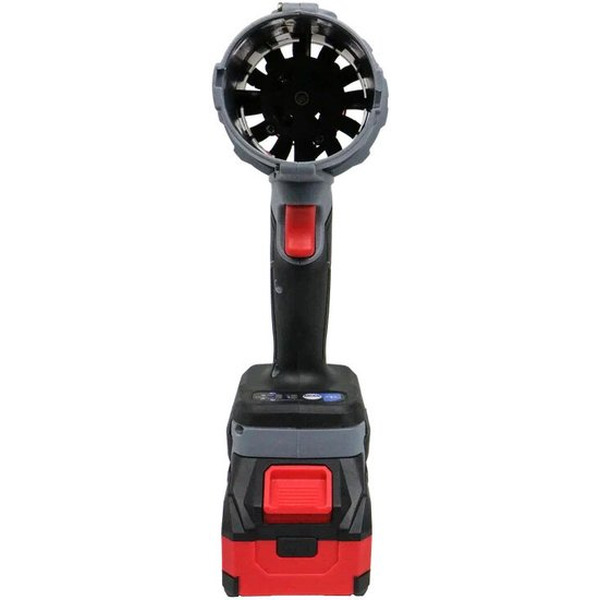 Набор инструментов Profipower ProfiSet-2D20 (воздуходувка, цепная пила)