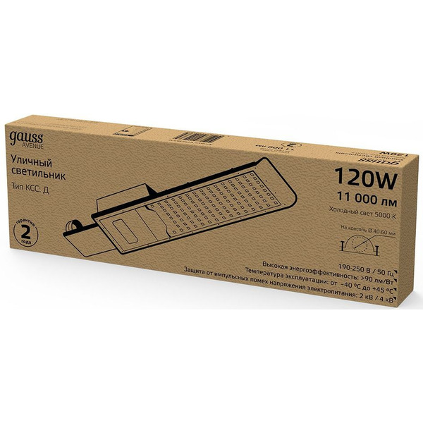 Светильник консольный Gauss 629536320