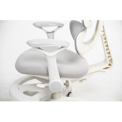 Стул регулируемый Ergosmart Antey GREY/чехол T14 GREEN