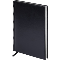 Ручка PARKER Jotter Core Stainless Steel CT (ежедневник А5 черный, пакет, 880891)