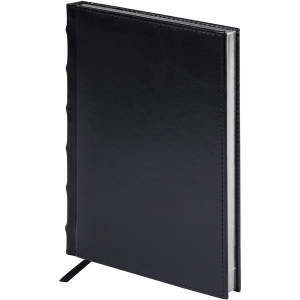 Ручка PARKER Jotter Core Stainless Steel CT (ежедневник А5 черный, пакет, 880891)