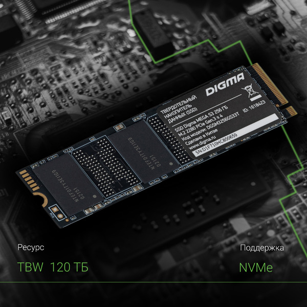 SSD Digma Mega S3 256GB DGSM3256GS33T