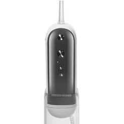 Ирригатор Редмонд YR4502 (Серый)