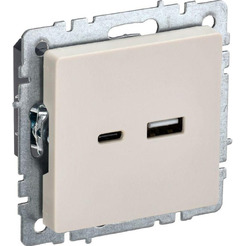 Розетка USB IEK Brite РЮ11-1БрКр