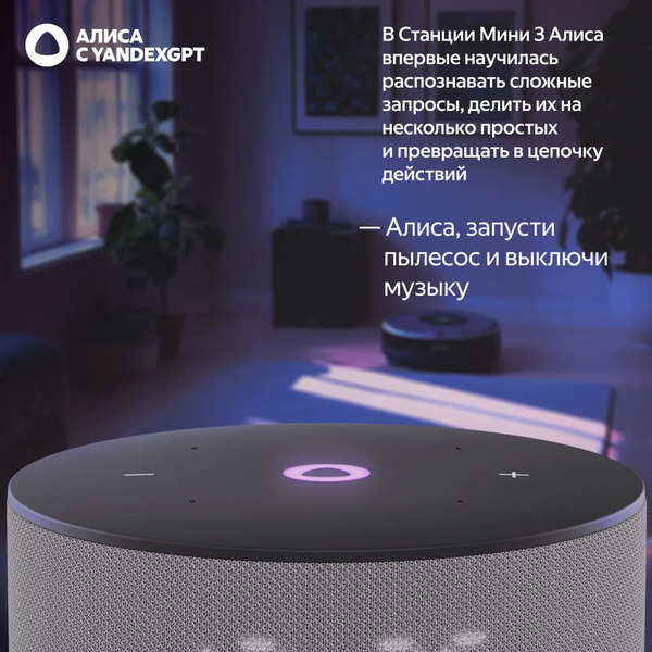 Умная колонка Яндекс Станция Мини 3 (YNDX-00027GRY) серый
