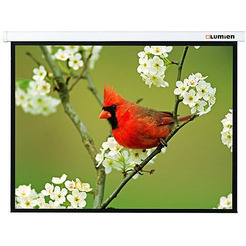 Экран Lumien LMP-100108