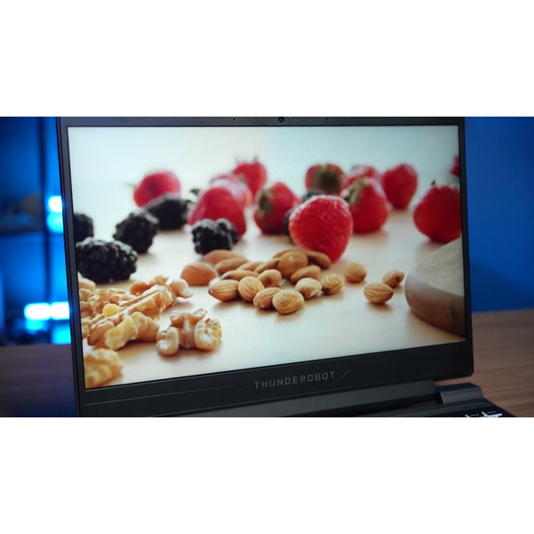 Игровой ноутбук THUNDEROBOT 911 X Wild Hunter G2L (JT009500ERU)