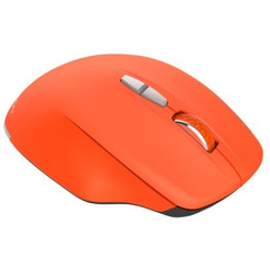 Мышь Canyon CNS-CMSW21R