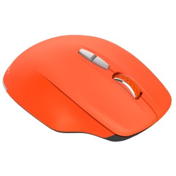 Мышь Canyon CNS-CMSW21R