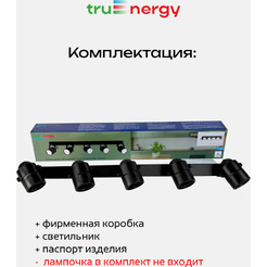 Светильник под лампу TRUENERGY FOCUS 21466