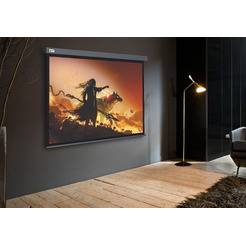 Экран Cactus CS-PSW-213X213-SG