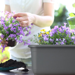 Кашпо Formplastic 5185-014 (матовый антрацит)