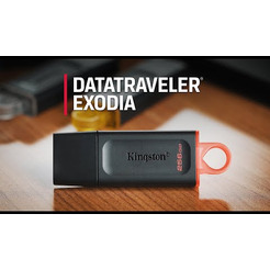 USB-флеш Kingston DataTraveler Exodia 256GB (DTX/256GB)