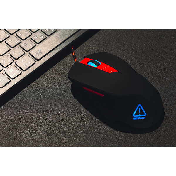 Мышь Canyon Eclector CND-SGM03RGB