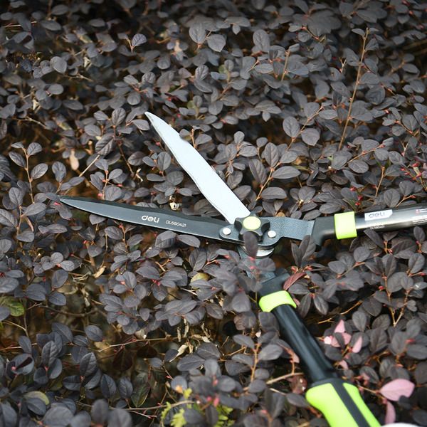 Ножницы садовые Deli EDL580421