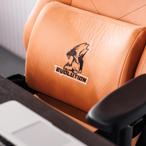 Игровое кресло Evolution Project A Fabric (коричневый)