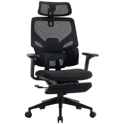 Кресло компьютерное EVOLUTION LumbarPro FR