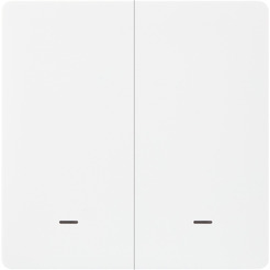 Выключатель HOMMYN SWZBNN02W (без нейтрали)