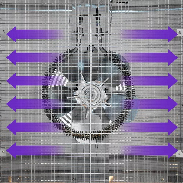 Сушилка для овощей и фруктов Kitfort КТ-1951