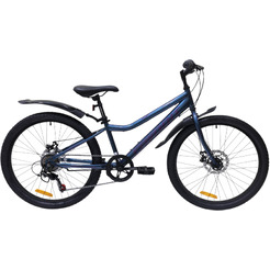 Велосипед Favorit Sirius 24MDS р.12 IR24MD12RD (синий)