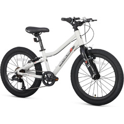 Велосипед детский Maxiscoo 3BIKE 20'' L Серый (2025) MSC-M3-2003