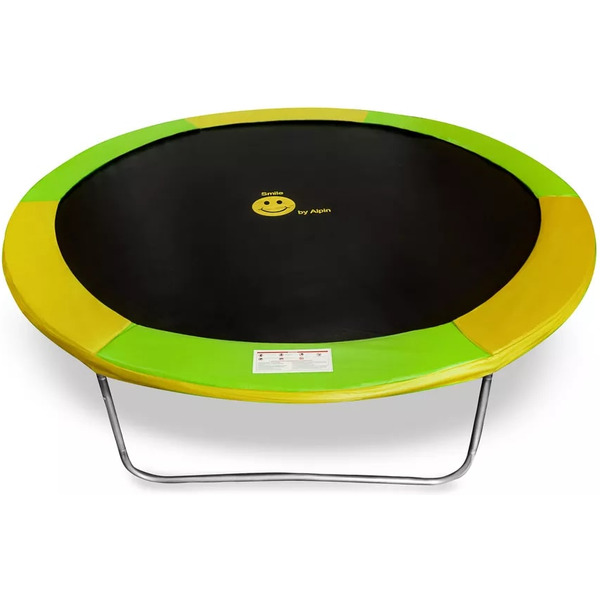 Батут Alpin ATGY-252 2.52 м с защитной сеткой и лестницей