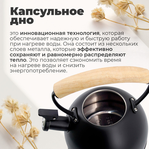 Чайник со свистком Pomidoro Napoli P-650206