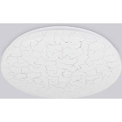 Потолочный светодиодный светильник Ambrella Light FZ1070 WH