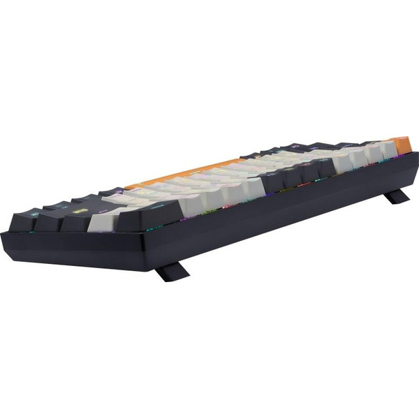 Клавиатура Redragon Caraxes Pro (71554)