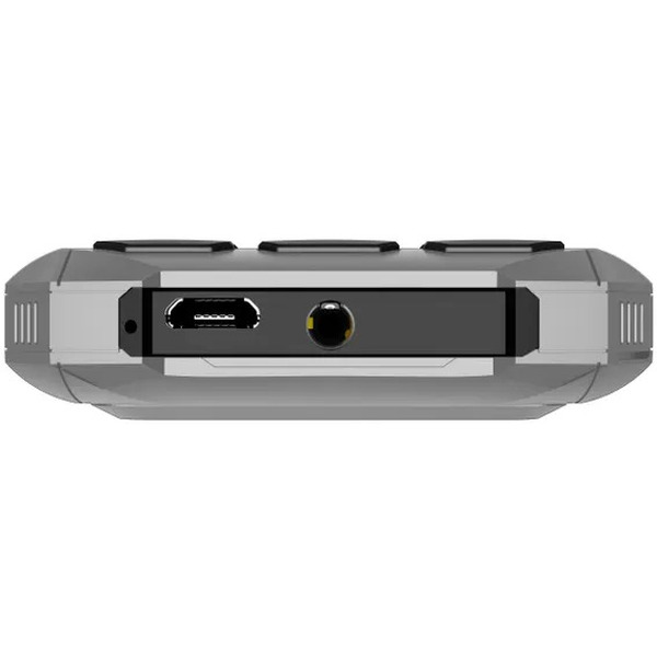 Мобильный телефон Inoi 300 Savanna (серый/черный)