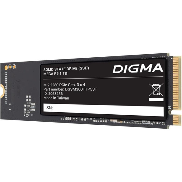 Накопитель SSD Digma DGSM3001TP53T