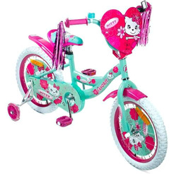 Детский велосипед Favorit Kitty KIT-16GN (розовый/бирюзовый)