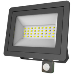 Уличный прожектор ЭРА LPR-042-2-65K-030